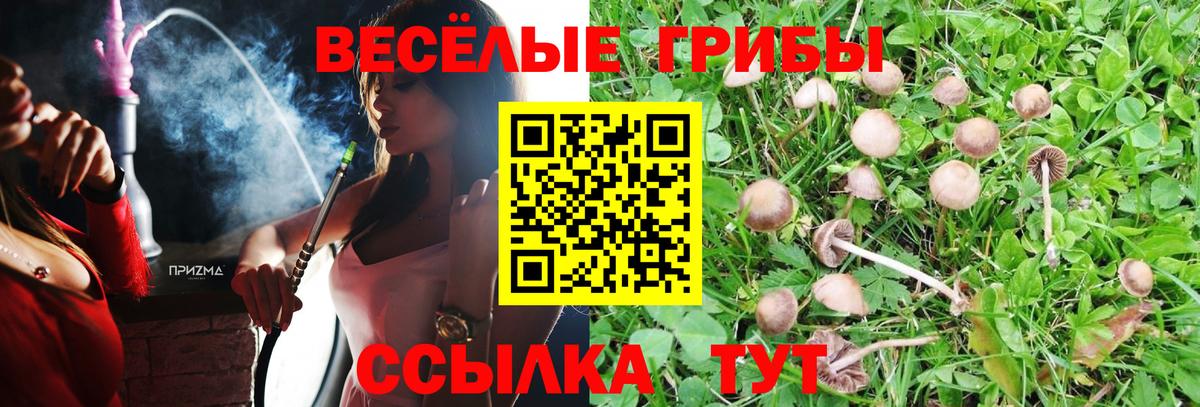 Псилоцибиновые грибы MAGIC MUSHROOMS Глазов